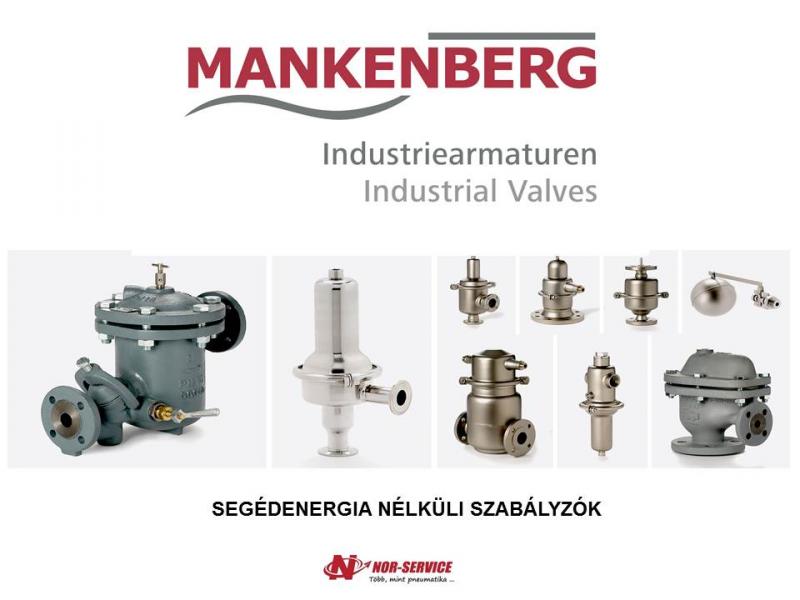 Mankenberg szabályzók